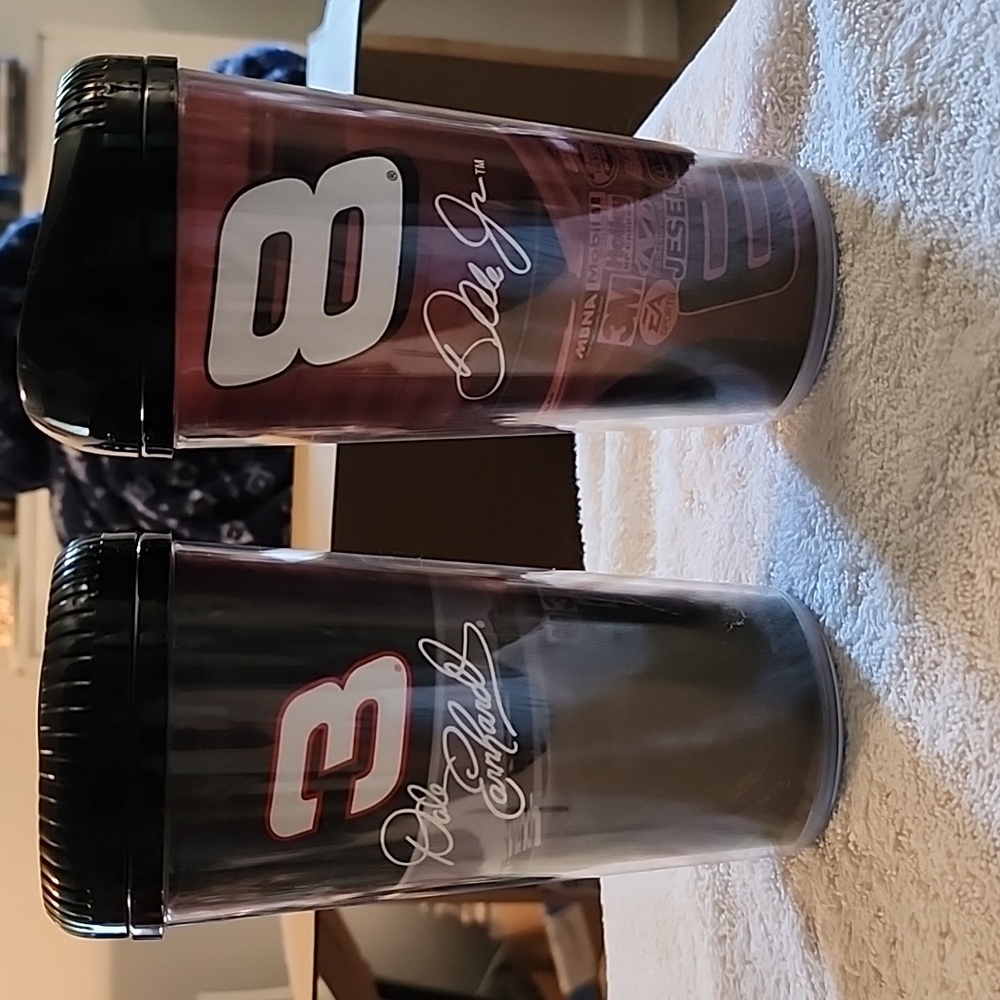 Dale Earnhardt, Sr & Jr Insulated Glasses